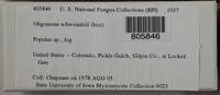 Image Associated With the Occurence